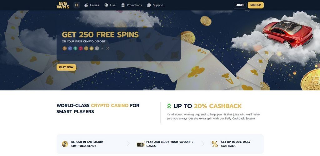 Big Wins Casino Site Evaluation: Software